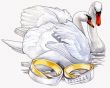 Свадебная открытка с лебедями