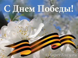 http://www.supertosty.ru/images/other/9may.jpg