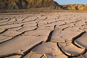 Всемирный день борьбы с опустыниванием и засухой - 17 июня.