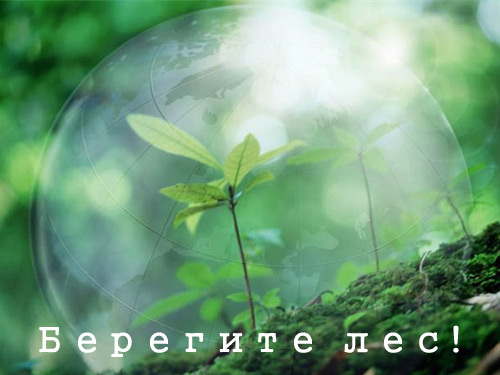 Песня Песня